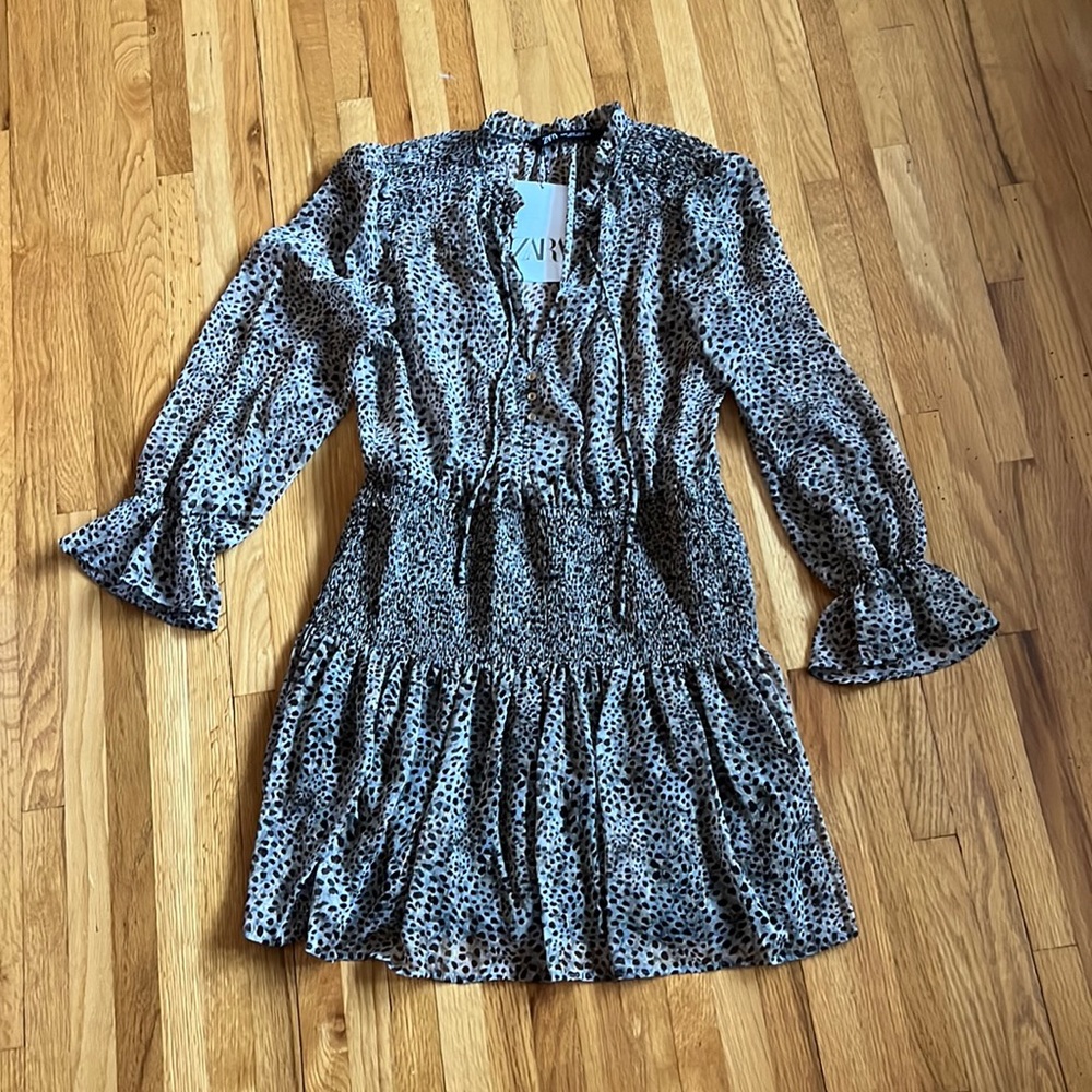 Zara Leopard Print Mini Dress